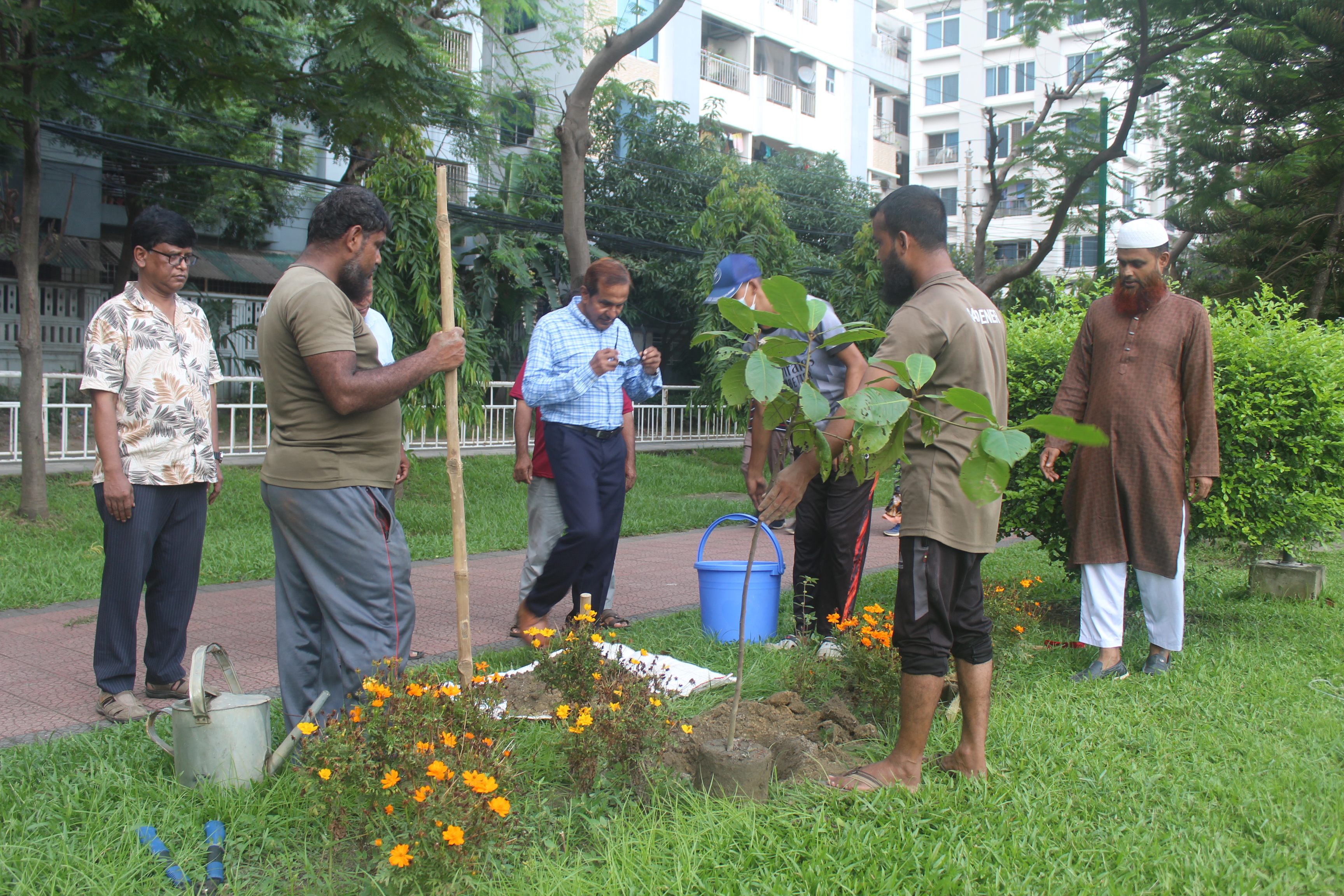 Tree plantation 1
