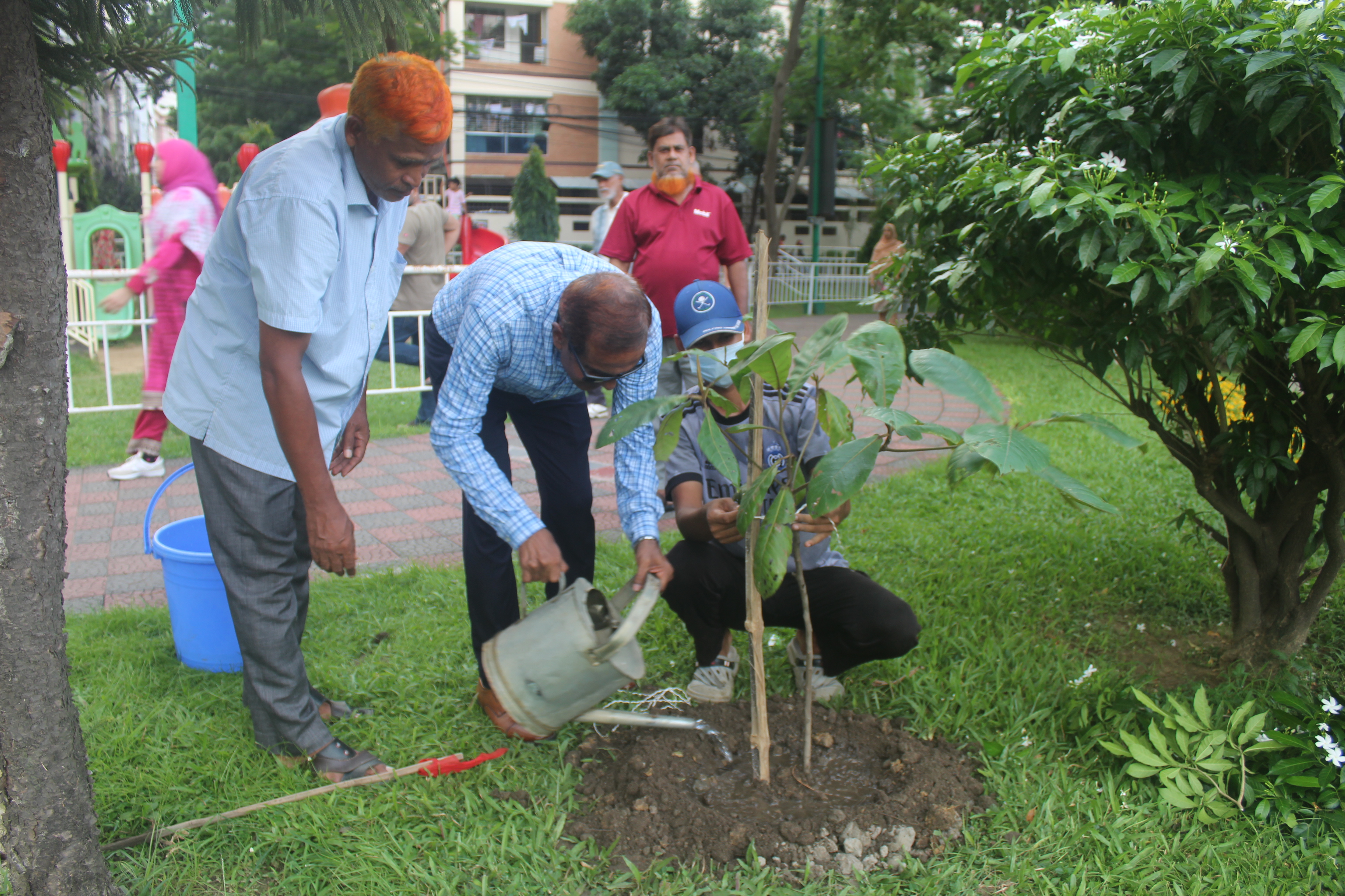 Tree plantation 2